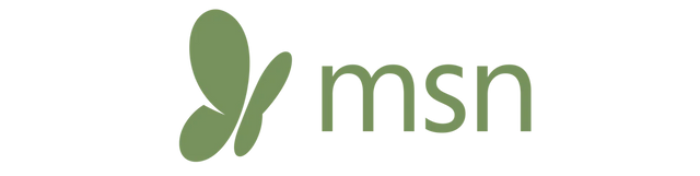 MSN-Logo